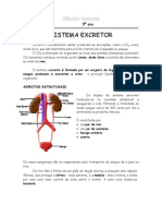 Sistema excretor e formação da urina