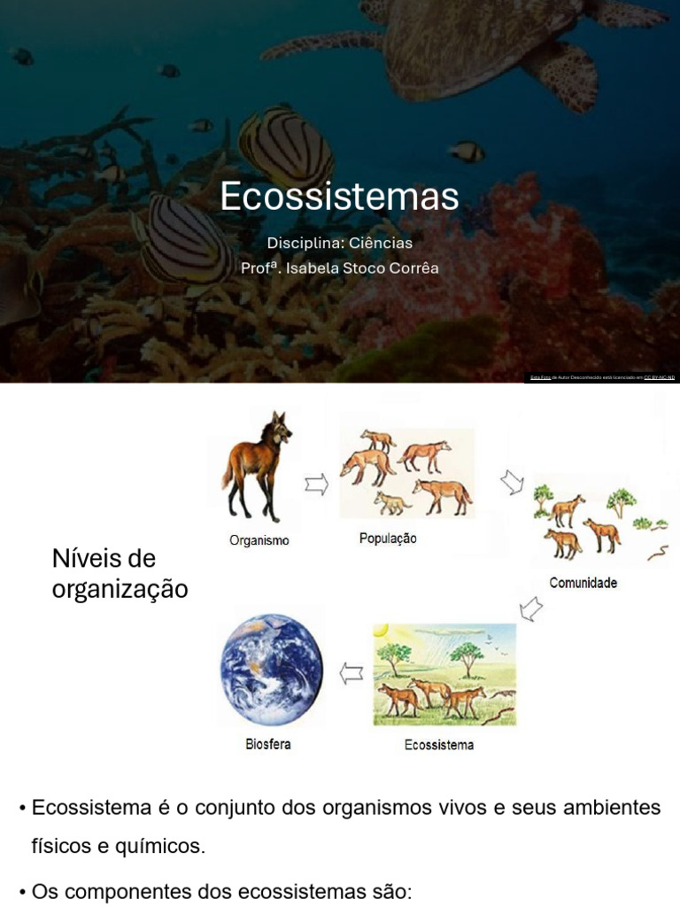 Representação dos Ecossistemas | PDF