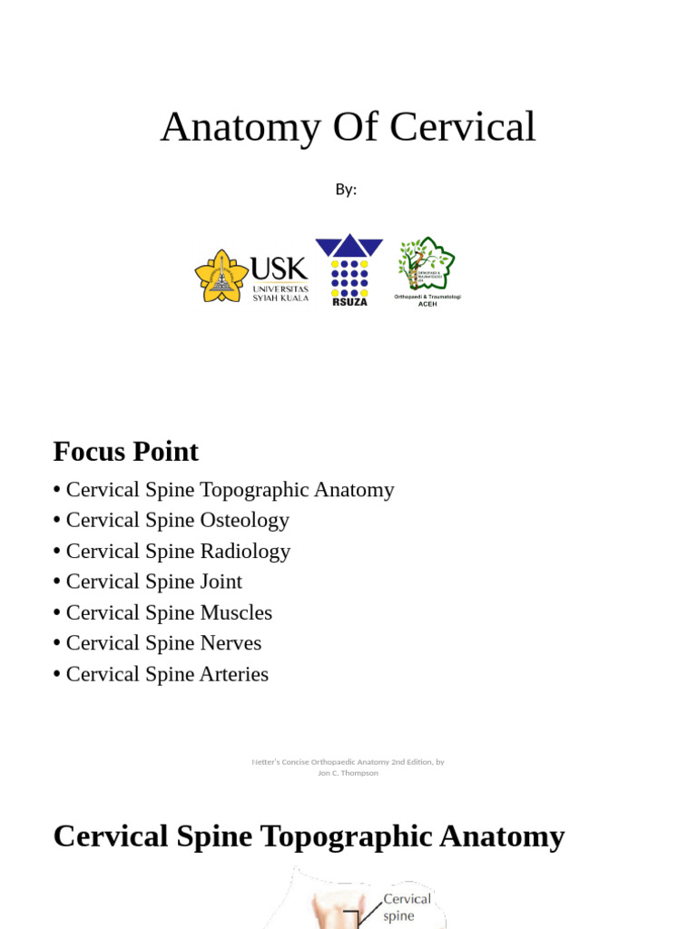 Anatomy of Cervical Spine | PDF | Thorax (Human Anatomy) | Skeletal System