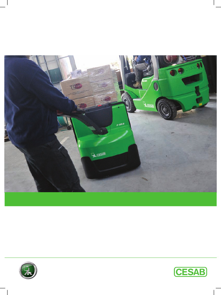 Cesab p214 | PDF