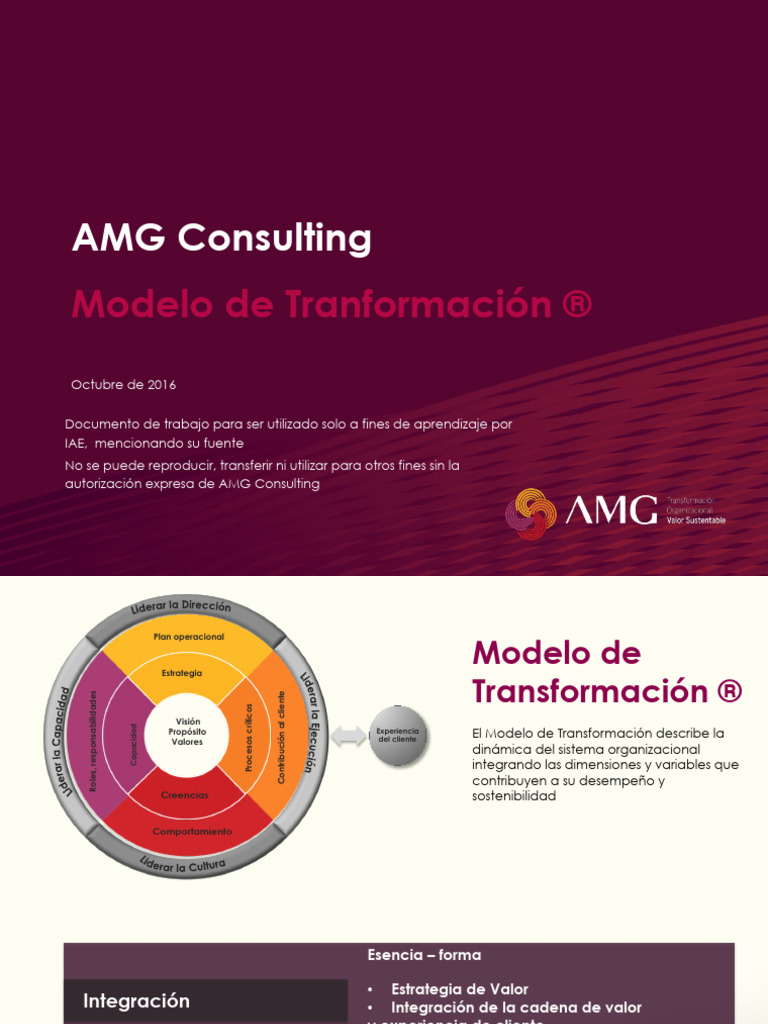 AMG Modelo Transformación 0916 | PDF | Modelo de negocio | Business