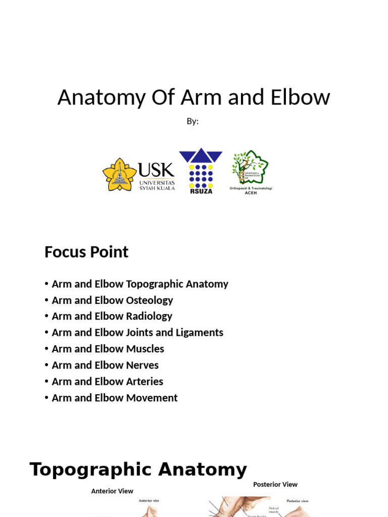 Anatomy of Arm and Elbow | PDF | Arm | Elbow