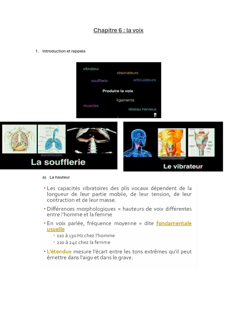 Évaluation et caractéristiques de la voix | PDF