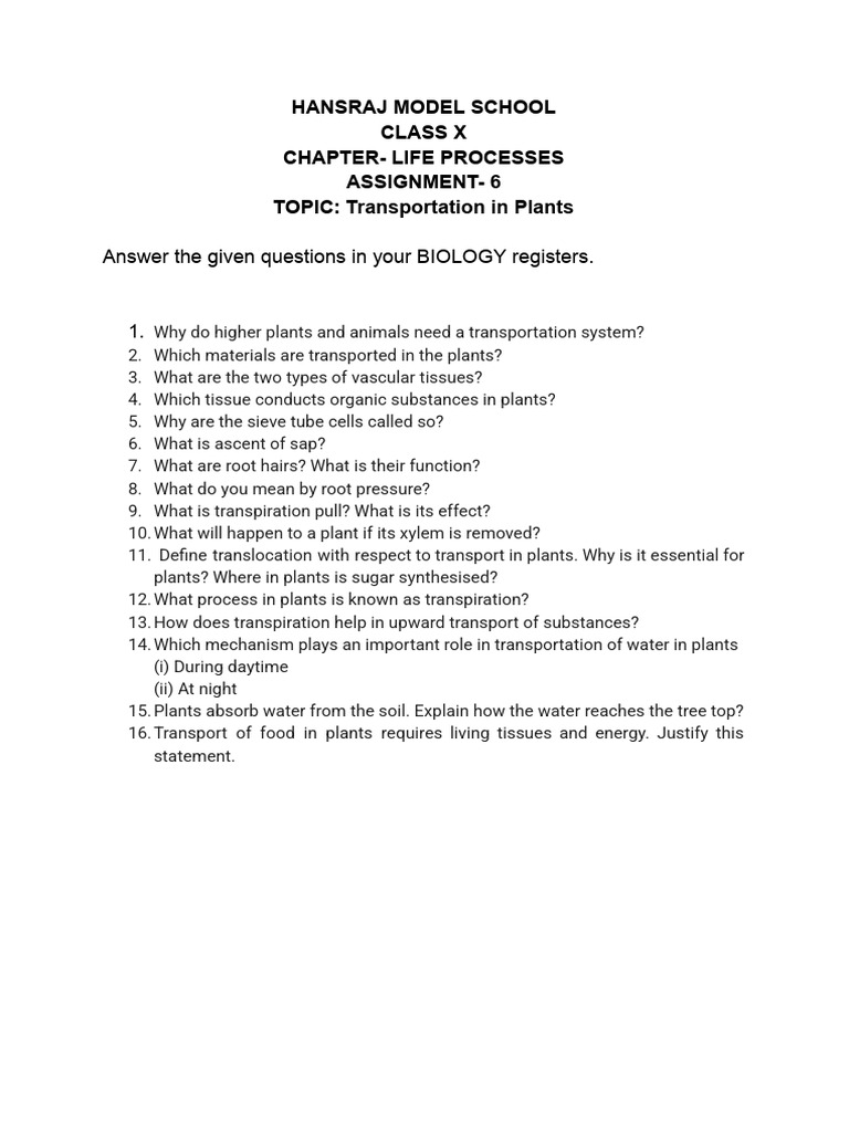 Transportation in Plants Assignment | PDF
