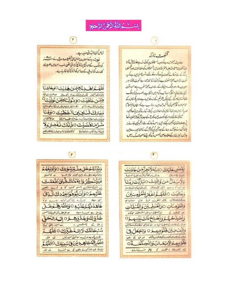 Pdf