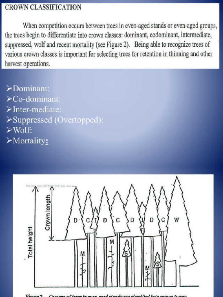 Crown Classification | PDF