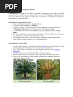 Cycas and Pinus: Morphology & Reproduction | PDF | Leaf | Plant Stem