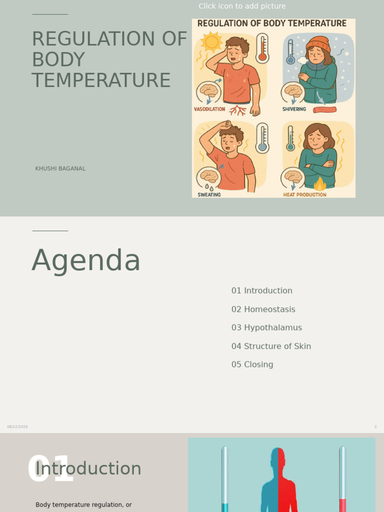 REGULATION OF BODY TEMPERATURE in Biology | PDF | Skin | Homeostasis