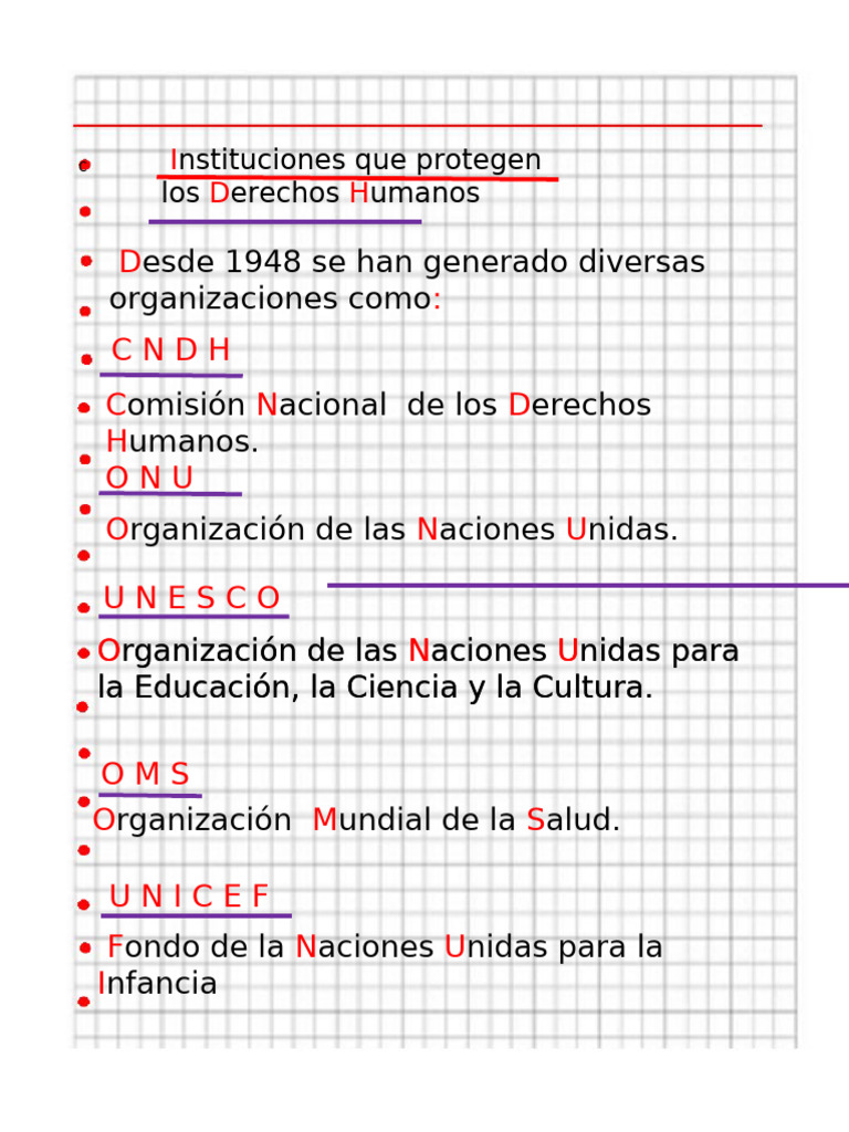Instituciones Que Protegen Los Derechos Humanos | PDF