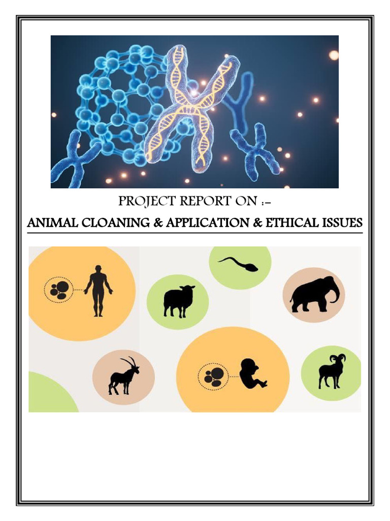 Animal Cloning: Applications & Ethics | PDF | Cloning | Biological ...