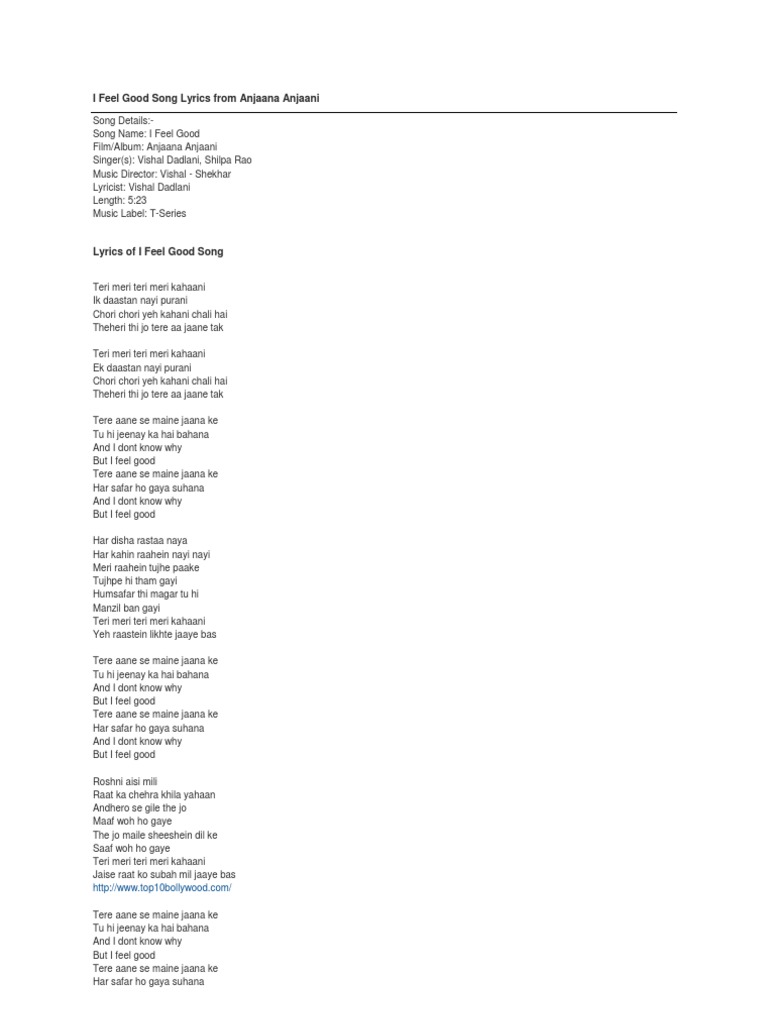 I Feel Good Song Lyrics From Anjaana Anjaani Bollywood Cinema Of India
