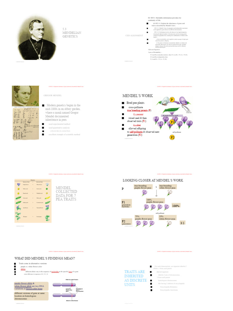 Mendelian Genetics: Inheritance Explained | PDF | Dominance (Genetics ...