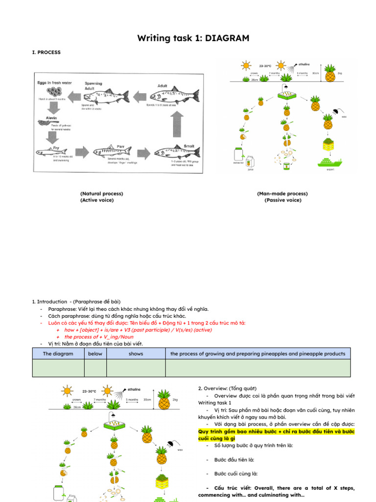 Lesson 13 - Writing Task 1 - DIAGRAM | PDF