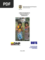 aspectos basicos _ indígenas