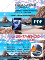 La Contaminacion Ambiental