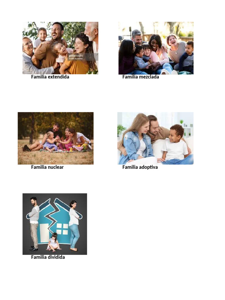 Familia Extendida Familia Mezclada | PDF