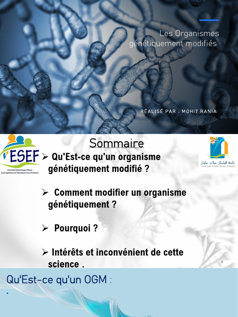 OGM : Définition et enjeux clés | PDF | Enzyme de restriction ...