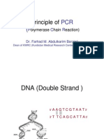 Principles of PCR Small