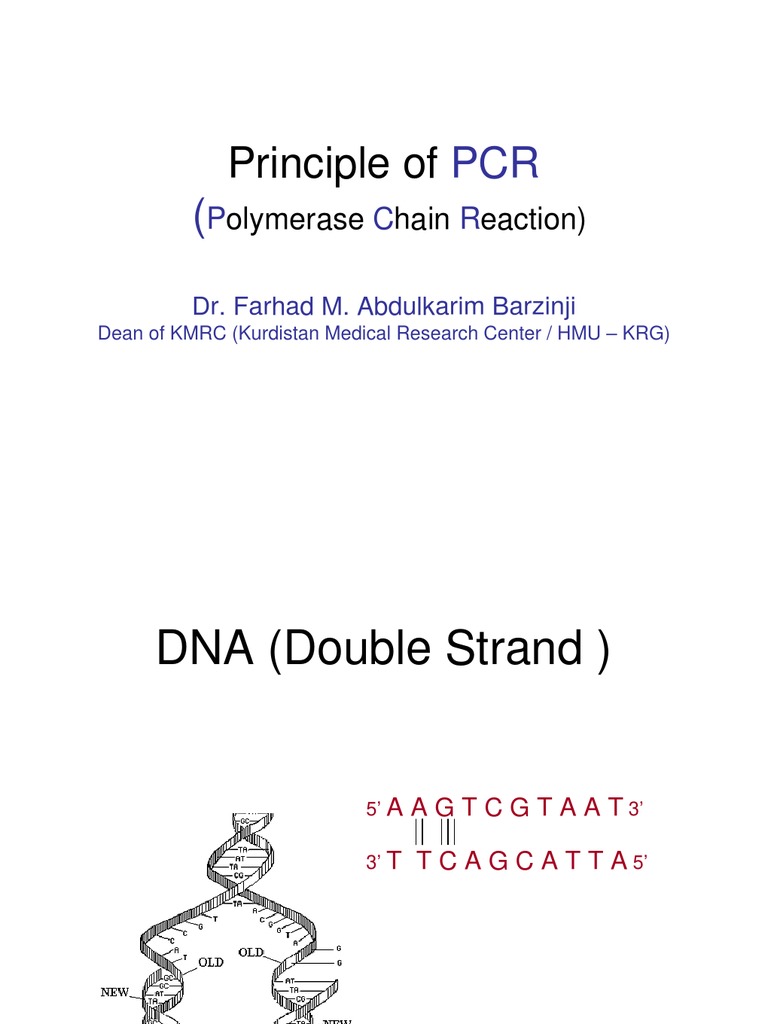 Principles of PCR Explained | PDF | Primer (Molecular Biology ...