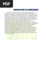 Download Report on National Agricultural Policy of Bangladesh by Radia Chowdhury SN90513514 doc pdf