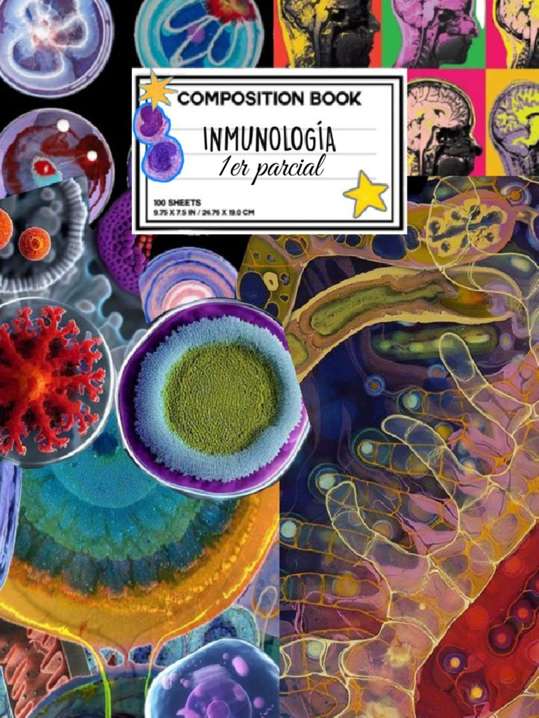 Órganos del Sistema Inmune y su Función | PDF | Timo | Linfocitos