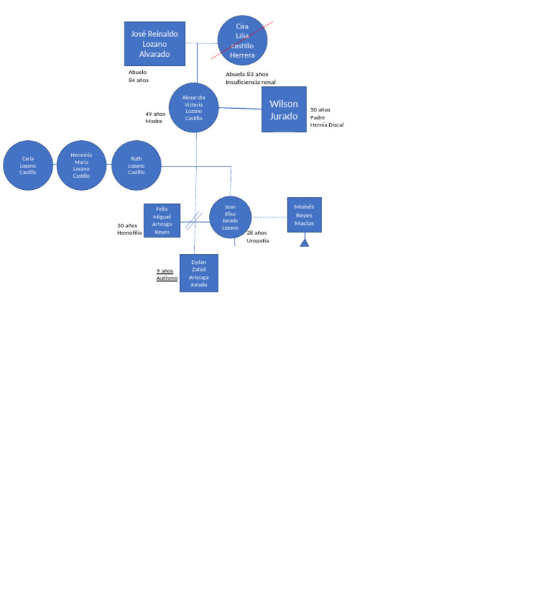 Arbol Genealogico | PDF