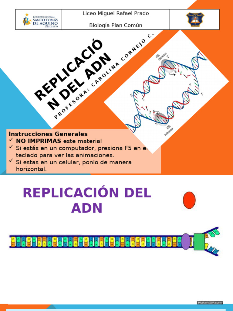 Duplicación, Transcripción | PDF | Replicación De Adn | Adn