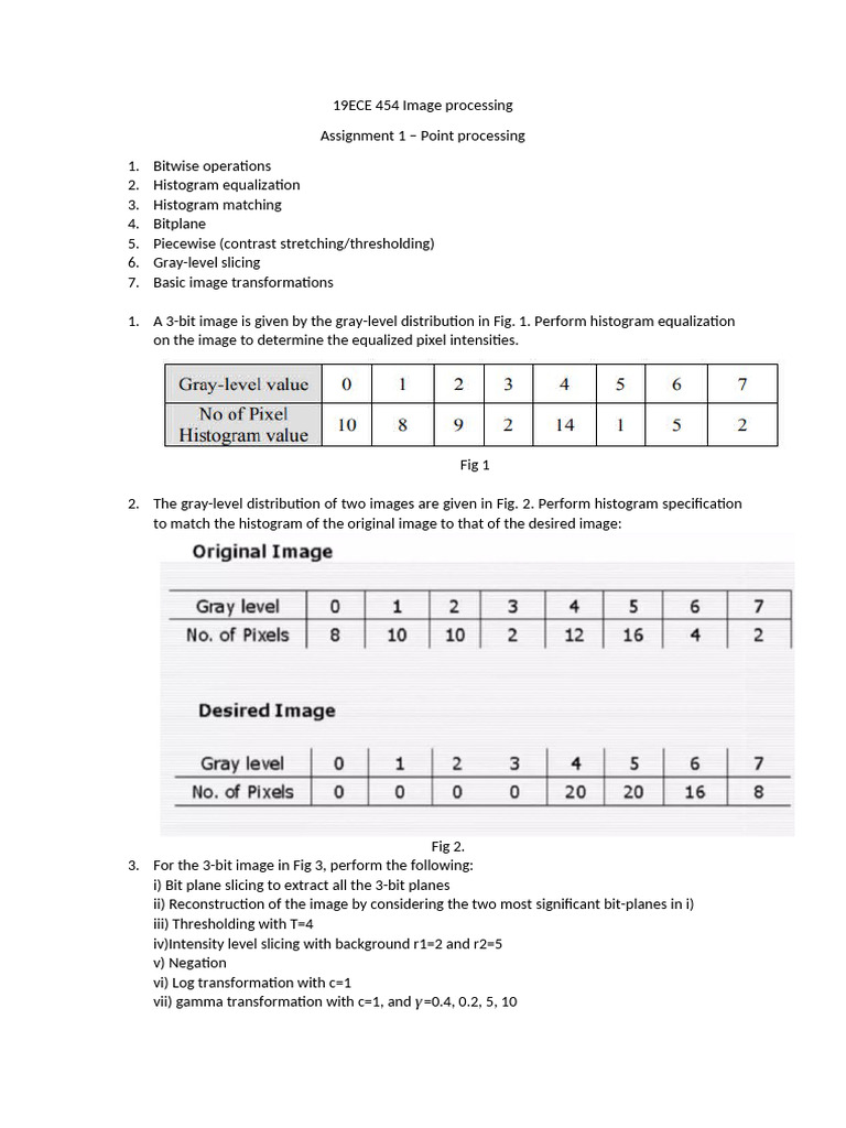 Image Processing Assignment: Point Operations | PDF