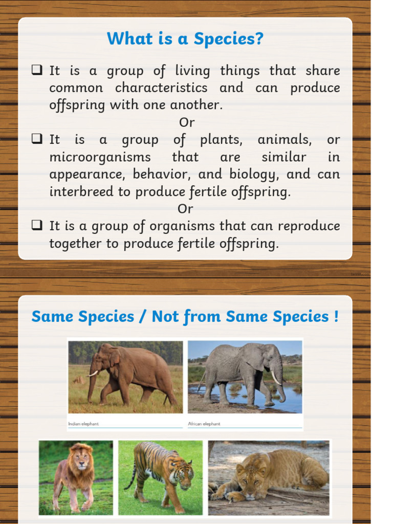 Managing Ecosystem Intruders | PDF | Ecology | Systems Ecology