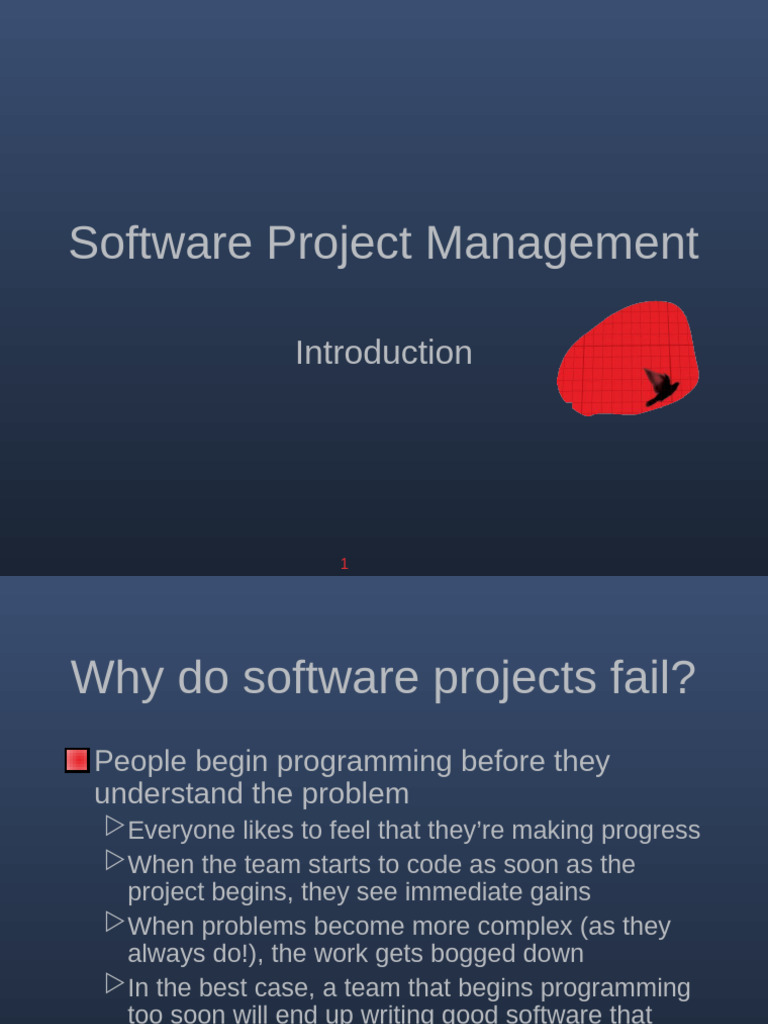 Reasons for Software Project Failures | PDF | Software Testing | Software