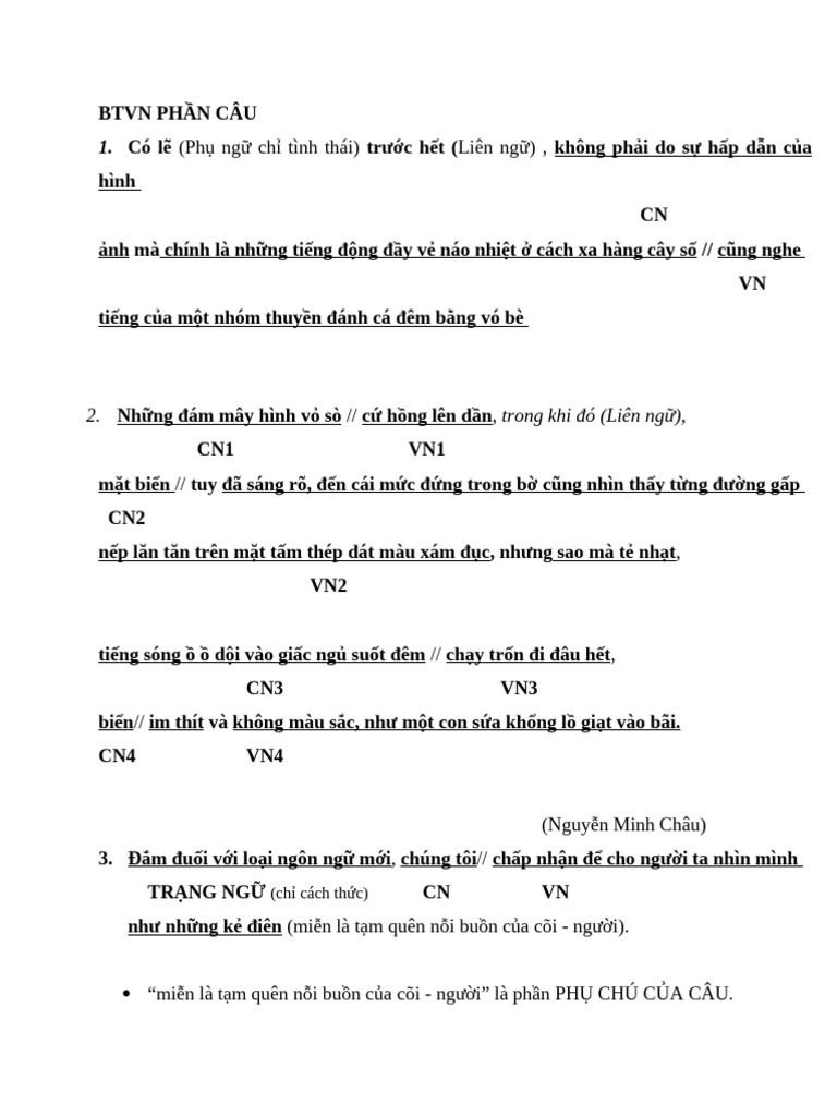 BTVN PHẦN CÂU (Trích Ra Từ File BT Của Cô) | PDF