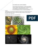 Informe Proporción Aurea