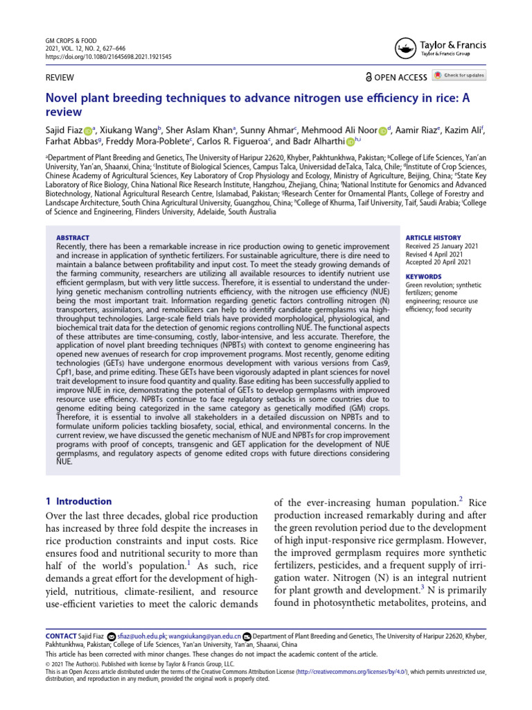 Enhancing Nitrogen Use Efficiency in Rice | PDF | Crispr | Plant Breeding