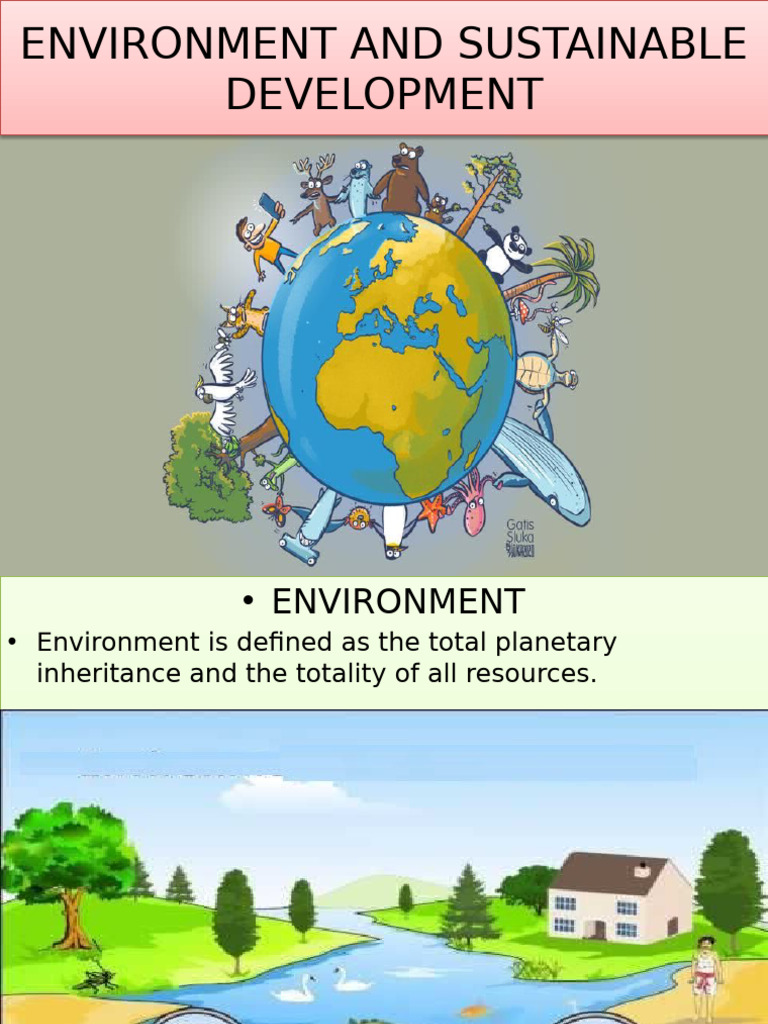Environment | PDF | Natural Environment | Pollution