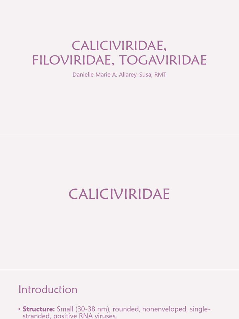 Overview of Caliciviridae, Filoviridae, Togaviridae | PDF | Virus ...