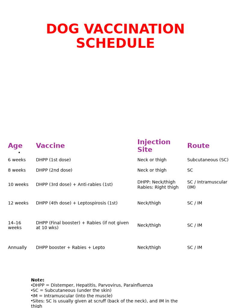 Dog Rabies Vaccination Schedule | PDF | Rabies | Vaccines
