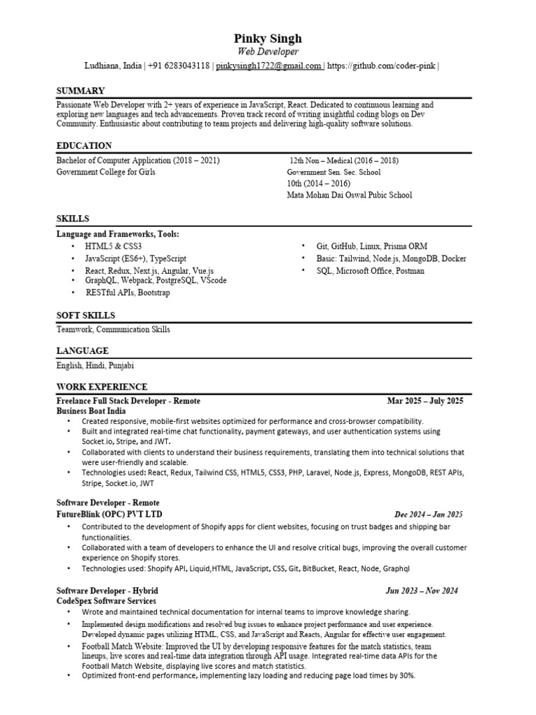 Web Developer Portfolio & Experience | PDF | Java Script | Information ...