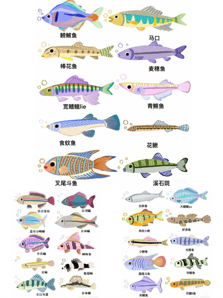 Art Fish | PDF