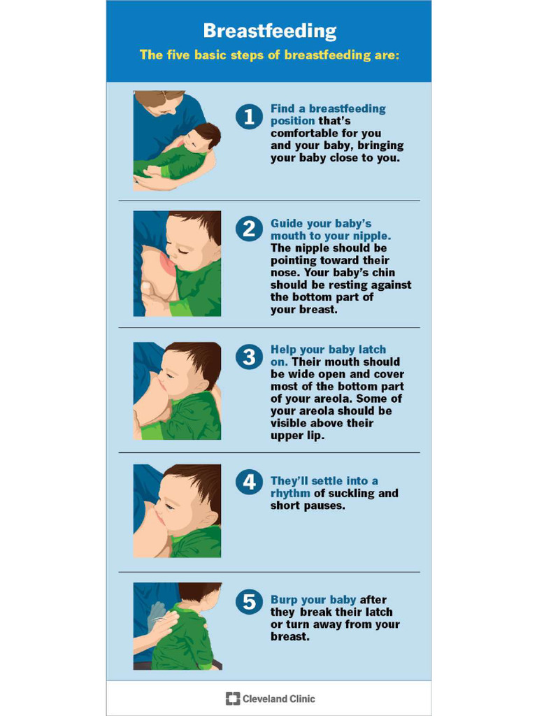 Breast Feed Techniques | PDF