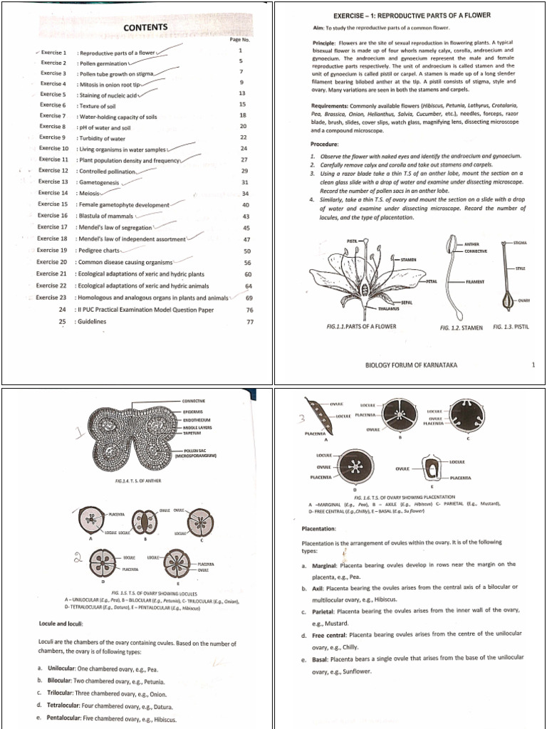 Biology Lab Manual | PDF