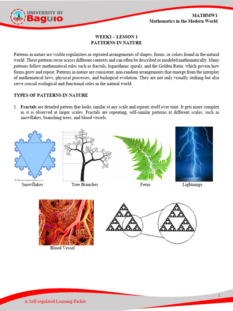 Week 1 Lesson 1 Patterns in Nature | PDF | Pattern | Symmetry