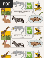 Labeled Diagram of Lizard Parts | PDF | Claw