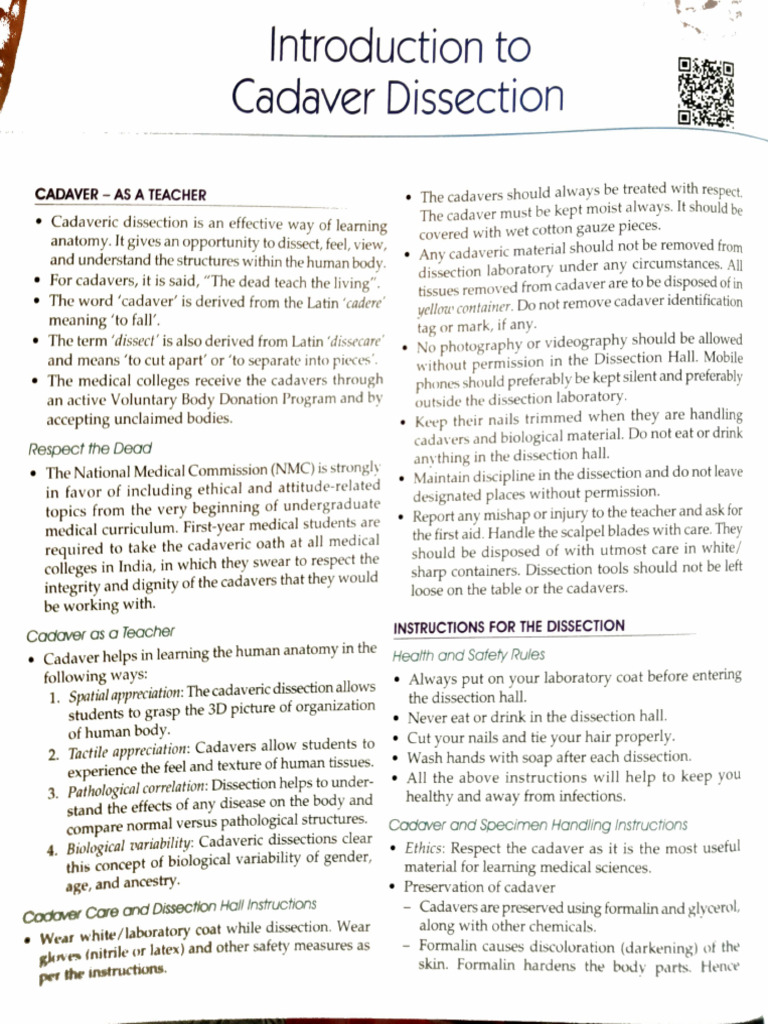 Respecting Cadavers in Dissection | PDF | Cadaver | Medicine