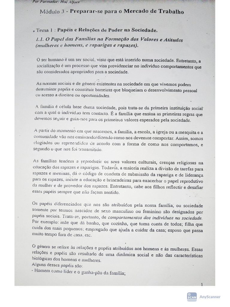 Capula 1 | PDF