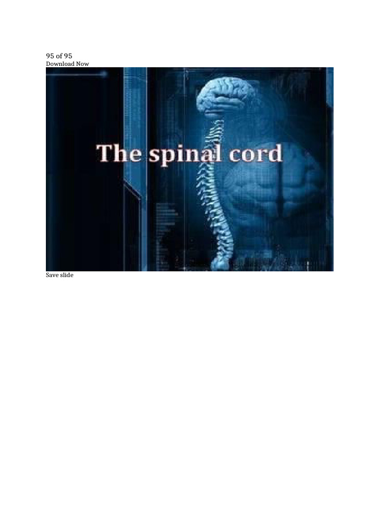Spinal | PDF