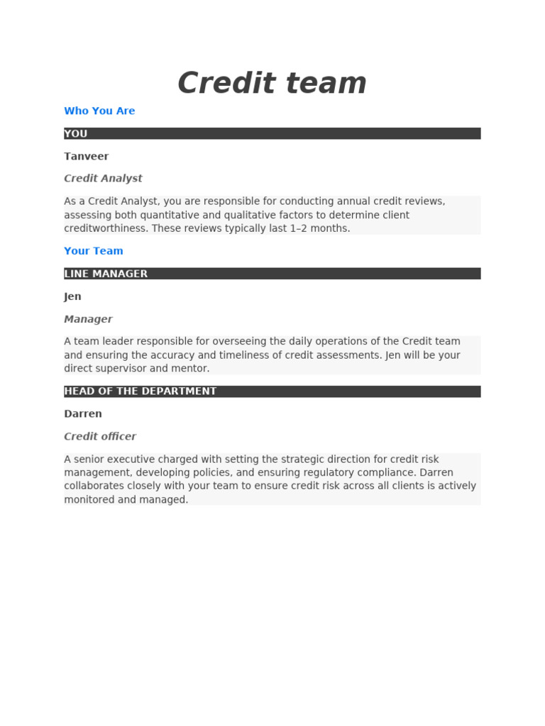 Credit Team: Who You Are | PDF