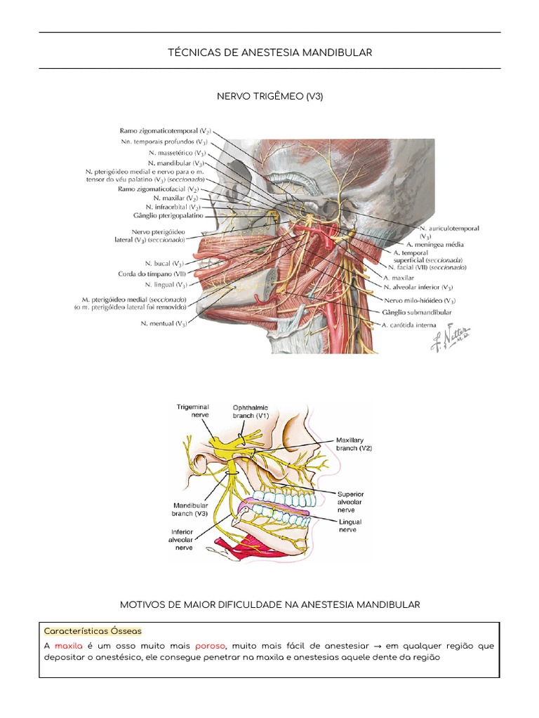 Técnicas de Anestesia Mandibular | PDF | Boca | Dente humano