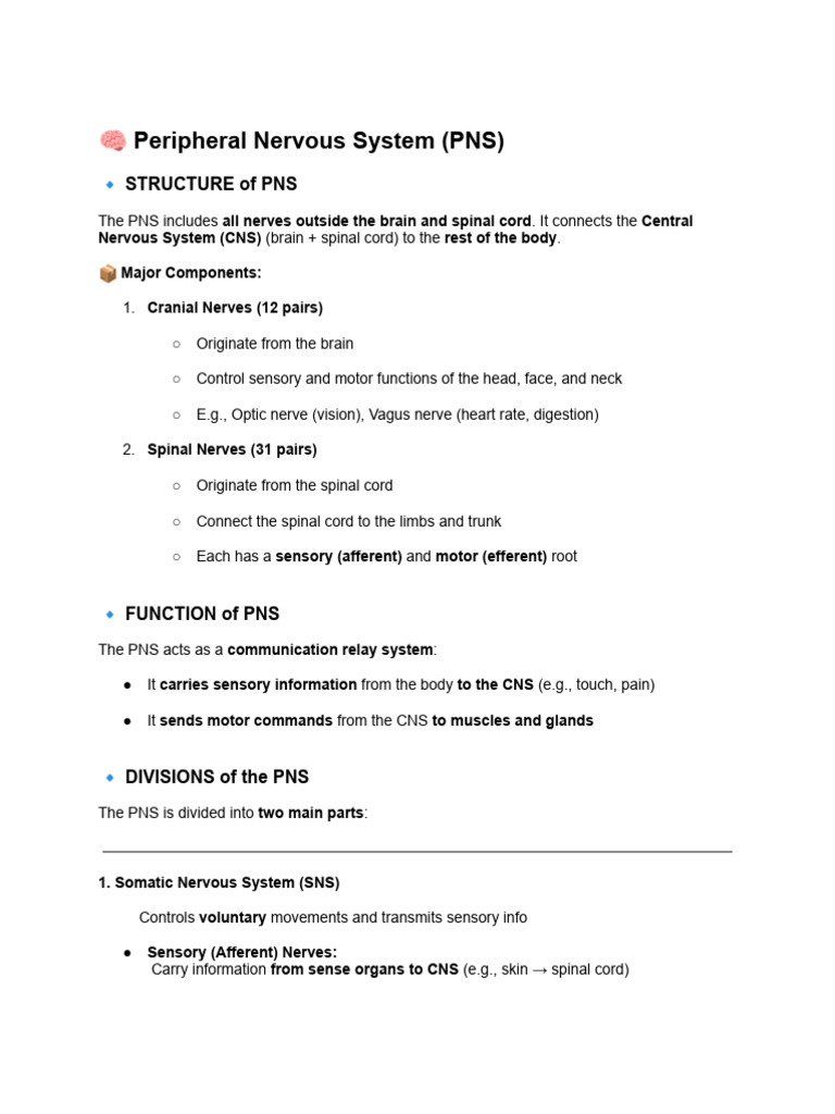 Overview of Peripheral Nervous System | PDF