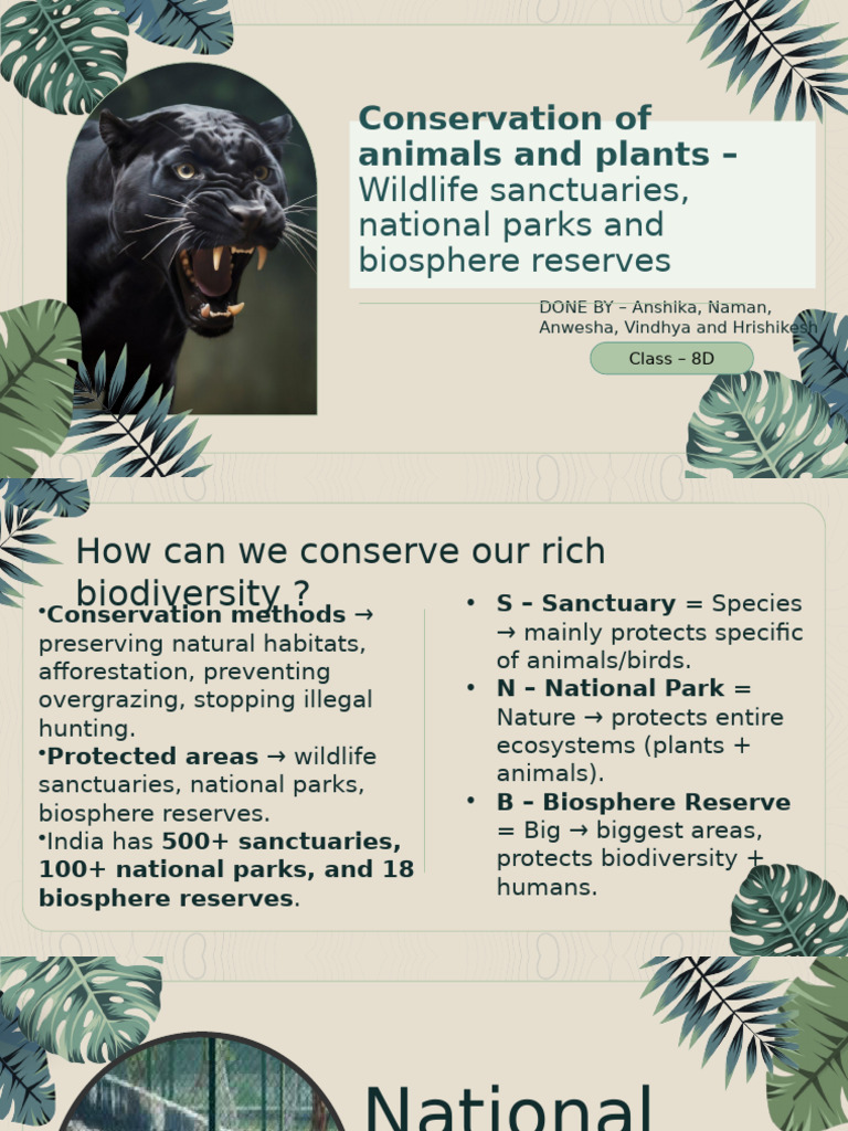 Biodiversity Conservation in India | PDF | Wildlife | Conservation Biology