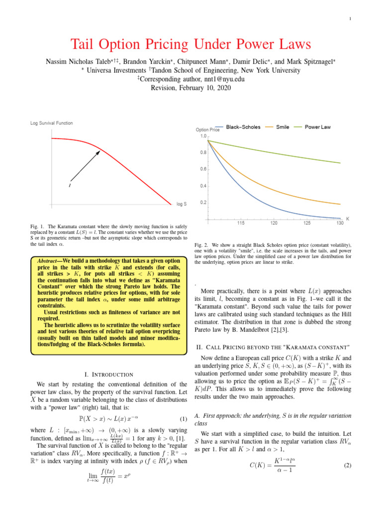 Nassim Taleb - Tail Pricing | PDF | Black–Scholes Model | Option (Finance)